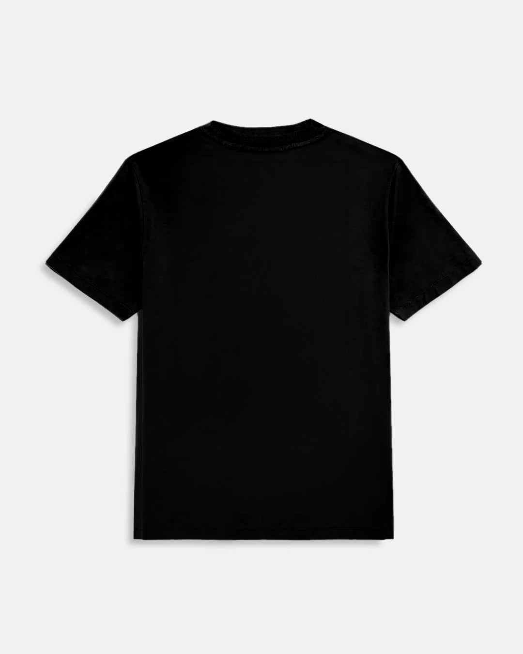 Iconic '76 T-Shirt, back